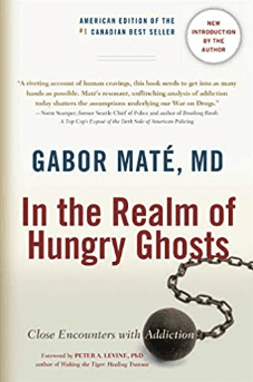 In the Realm of Hungry Ghosts: Close Encounters With Addiction