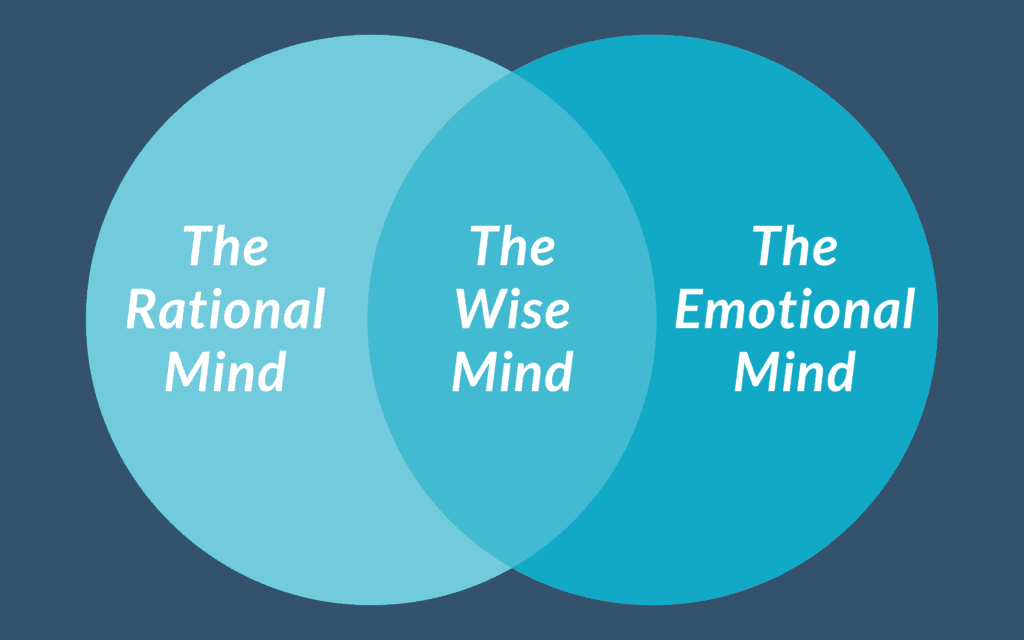 How to Help Your Child Use Their Wise Mind