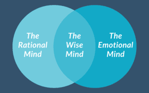 How to Help Your Child Use Their Wise Mind